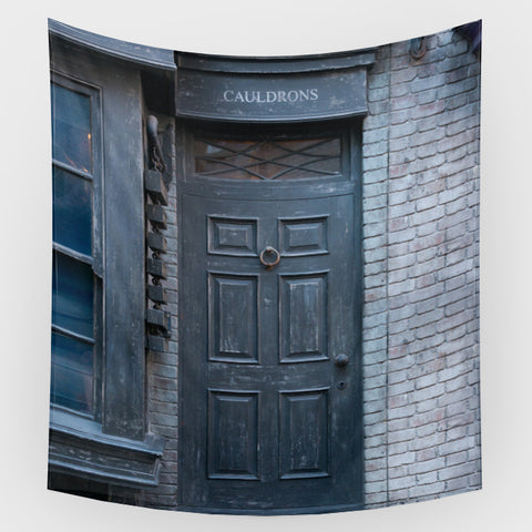 Harry Potter - Doors 2 Backdrop
